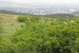 იყიდება მიწის ნაკვეთი, სასოფლო - სამეურნეო, მთაწმინდა