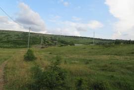 იყიდება მიწის ნაკვეთი, სასოფლო - სამეურნეო, მთაწმინდა