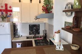 Daily Apartment Rent, New building, Mtatsminda