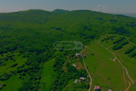 იყიდება მიწის ნაკვეთი, სასოფლო - სამეურნეო, წავკისი