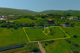 იყიდება მიწის ნაკვეთი, სასოფლო - სამეურნეო, წავკისი