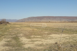 იყიდება მიწის ნაკვეთი, სასოფლო - სამეურნეო, ქსოვრისი