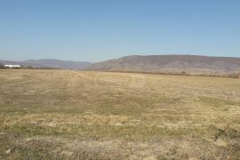 იყიდება მიწის ნაკვეთი, სასოფლო - სამეურნეო, ქსოვრისი