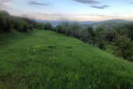 Land For Sale, Agricultural, Nichbisi
