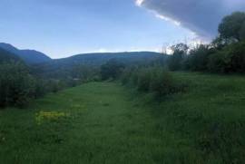 Land For Sale, Agricultural, Nichbisi