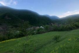 Land For Sale, Agricultural, Nichbisi
