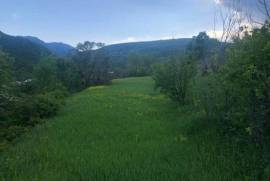 Land For Sale, Agricultural, Nichbisi
