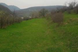 Land For Sale, Agricultural, Nichbisi