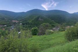 Land For Sale, Agricultural, Nichbisi