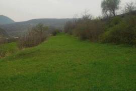 Land For Sale, Agricultural, Nichbisi