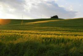 Land For Sale, Non Agricultural, Tsavkisi