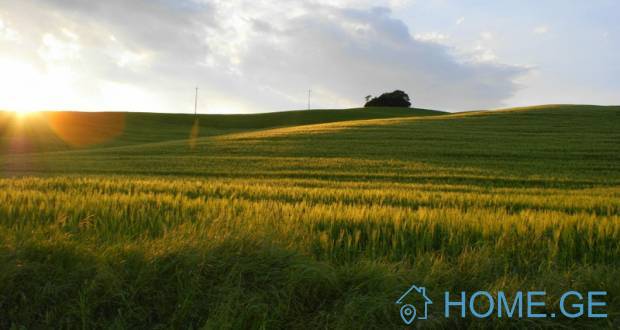 Land For Sale, Non Agricultural, Tsavkisi
