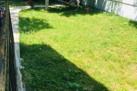 Daily Rent, Borjomi , Tsemi