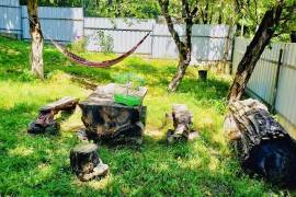 Daily Rent, Borjomi , Tsemi