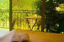 Daily Rent, Borjomi , Tsemi