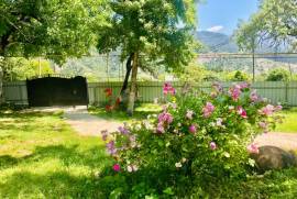 Daily Rent, Borjomi , Tsemi