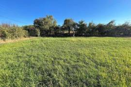 Land For Sale, Misaqtsieli