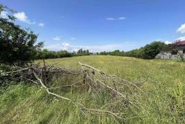 Land For Sale, Misaqtsieli