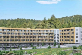Apartment for sale, 1 Room, New building, Borjomi , Bakuriani