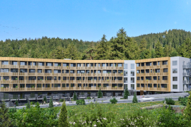 Apartment for sale, 1 Room, New building, Borjomi , Bakuriani