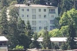 ქირავდება ბინა დღიურად, 3 ოთახიანი, ძველი აშენებული, ბორჯომი, ბორჯომი