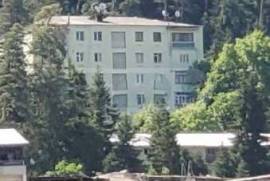 ქირავდება ბინა დღიურად, 3 ოთახიანი, ძველი აშენებული, ბორჯომი, ბორჯომი
