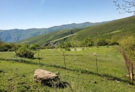 იყიდება მიწის ნაკვეთი, სასოფლო - სამეურნეო, მსხალდიდი