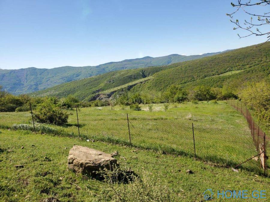 იყიდება მიწის ნაკვეთი, სასოფლო - სამეურნეო, მსხალდიდი