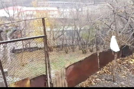 იყიდება მიწის ნაკვეთი, ზაჰესი