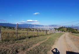 Land For Sale, Agricultural, Telovani