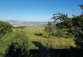 Land For Sale, Agricultural, Telovani