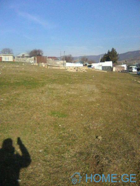 იყიდება მიწის ნაკვეთი, არა სასოფლო - სამეურნეო, ნორიო