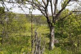 Land For Sale, Norio 