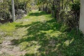 Land For Sale, Norio 