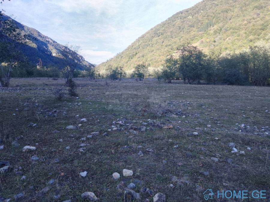 Land For Sale, Agricultural, Katsalkhevi