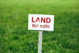 Lease Land , Saguramo