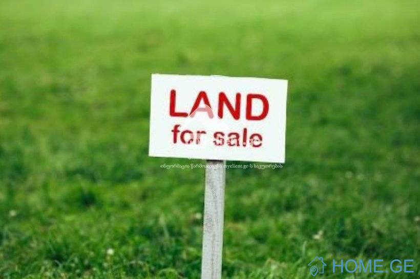 Lease Land , Navtlugi