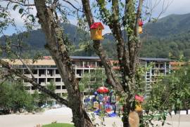Daily Apartment Rent, 2 Room, New building, Borjomi , Bakuriani