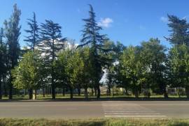 იყიდება მიწის ნაკვეთი, არა სასოფლო - სამეურნეო