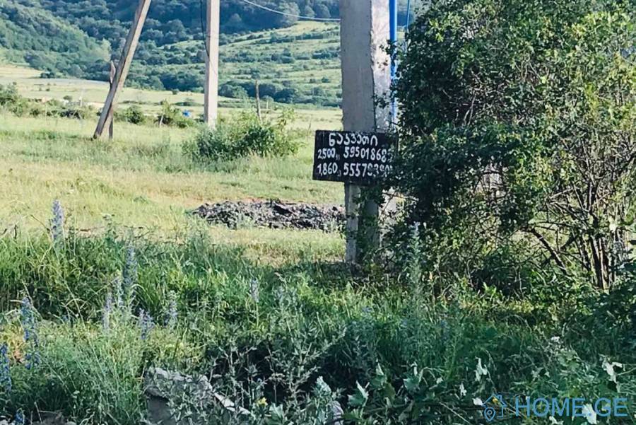 Land For Sale, Saguramo