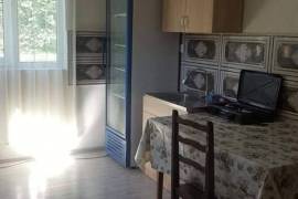 House For Rent, 5 Room, Dusheti , Ananuri
