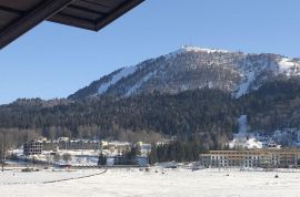 Daily Apartment Rent, 8 Room, New building, Borjomi , Bakuriani