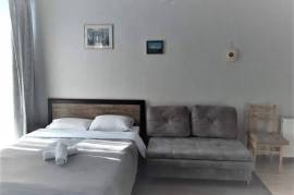 Продается квартира, 1 Kомнатная, Новостройка, Боржомский район, Бакуриани