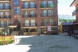 Apartment for sale, 2 Room, Old building, Borjomi , Bakuriani
