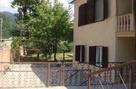Daily Apartment Rent, New building, Borjomi