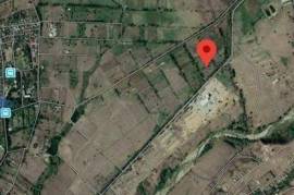 Land For Sale, Lilo