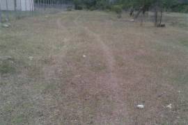 Land For Sale, Lilo