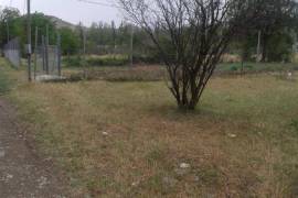 Land For Sale, Lilo