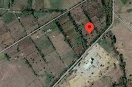 Land For Sale, Lilo