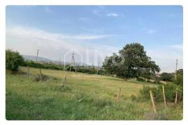 იყიდება მიწის ნაკვეთი, სასოფლო - სამეურნეო, საგურამო